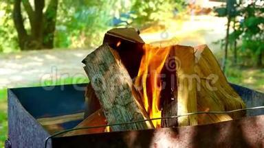 烤<strong>架</strong>上烧煤用的木柴，特写。木头在烤<strong>架</strong>上燃烧，火把树包围在